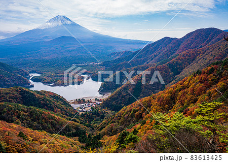 （山梨県）紅葉の精進峠から見下ろす、精進湖と富士山 83613425