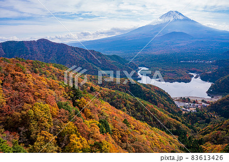 （山梨県）紅葉の精進峠から見下ろす、精進湖と富士山 83613426