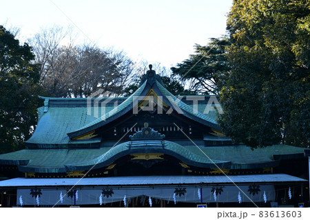 大宮八幡宮 晩秋 大宮八幡宮 晩秋 83613603