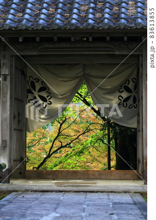 苗秀寺山門からの紅葉 83613855