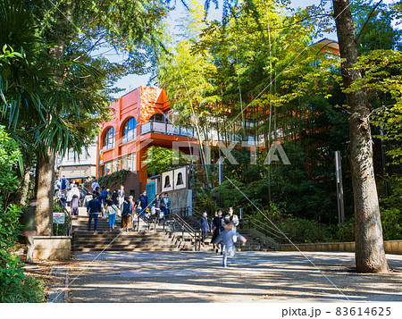 井の頭公園 秋の休日 井の頭公園 秋の休日 83614625