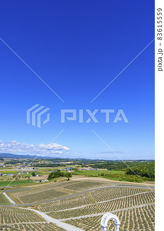 北海道 秋 日の出公園展望台より上富良野町を望む 北海道 秋 日の出公園展望台より上富良野町を望む 83615559