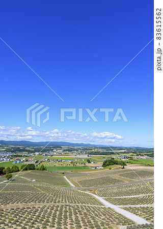 北海道　秋　日の出公園展望台より上富良野町を望む 83615562