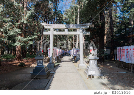 豊川稲荷　霊狐塚 83615616