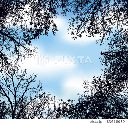 Vector background as a frame of interlaced branches of trees against the sky 83616080