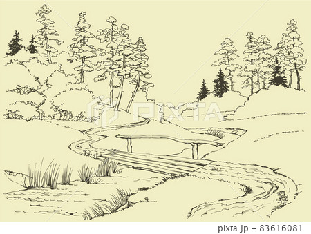 Forest landscape with stream 83616081