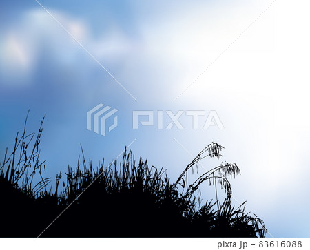 Silhouette of grass by the lake. Vector drawing 83616088