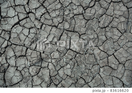 Dried earth as a result of climate change, global warming consequences. 83616620