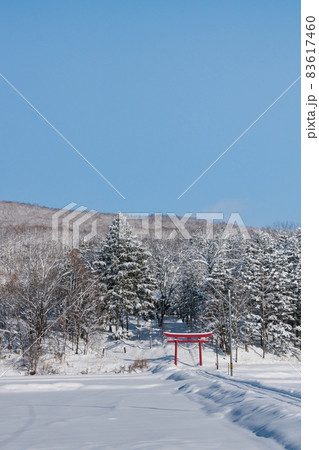 冬の雑木林と赤い鳥居 冬の雑木林と赤い鳥居 83617460