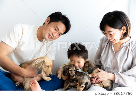 家族写真　愛犬　カニンヘンダックスフンド 83617760