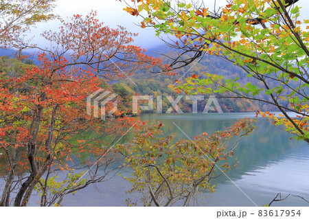 湯ノ湖の紅葉 83617954