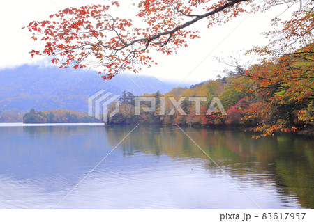 湯ノ湖の紅葉 83617957