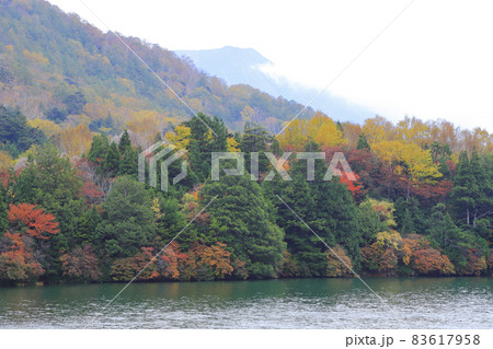 湯ノ湖の紅葉 83617958