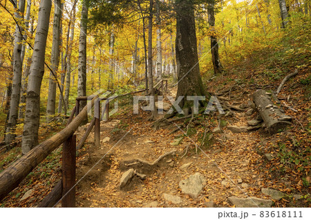 Autumn in the Bieszczady Mountains. Autumn in the Bieszczady Mountains. 83618111