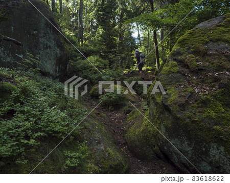 Man walking in dense forest with mossy sandstone rocks and boulders at hiking trail at Zittauer Gebirge mountains nature park, summer landscape, Germany Man walking in dense forest with mossy sandstone rocks and boulders at hiking trail at Zittauer Gebirge mountains nature park, summer landscape, Germany 83618622
