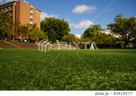 キャンパス　学生生活　大学　芝生広場　校舎　学びの場 83619577