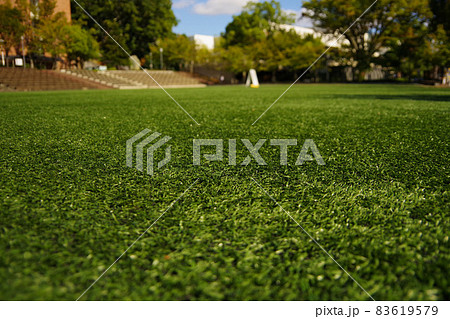 キャンパス　学生生活　大学　芝生広場　校舎　学びの場 83619579