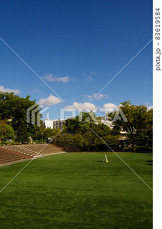 キャンパス　学生生活　大学　芝生広場　校舎　学びの場 83619584