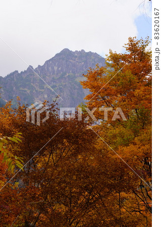 奥飛騨温泉郷の鍋平高原から見た紅葉と錫杖岳 奥飛騨温泉郷の鍋平高原から見た紅葉と錫杖岳 83620167