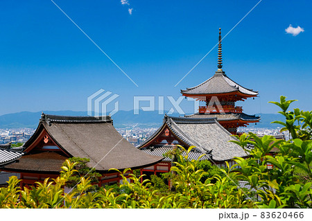 京都市 清水寺 境内 京都市 清水寺 境内 83620466