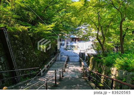 京都市 清水寺境内 音羽の滝へ続く階段 83620565