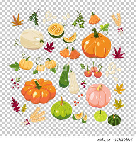 カボチャ かぼちゃ 南瓜 83620667