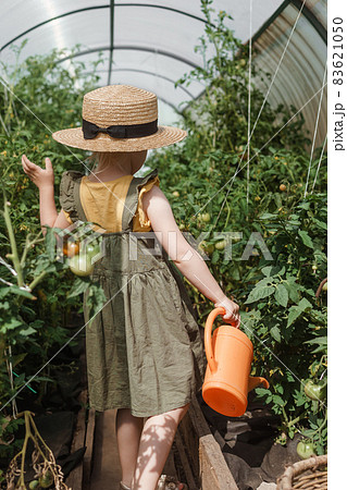 A little girl in a straw hat is picking tomatoes in a greenhouse. Harvest concept. 83621050