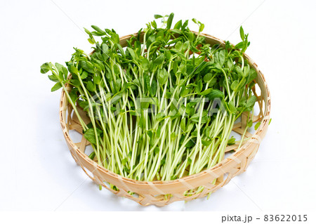 Pea Sprouts in bamboo basket on white background. 83622015