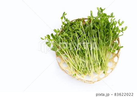 Pea Sprouts in bamboo basket on white background. Pea Sprouts in bamboo basket on white background. 83622022