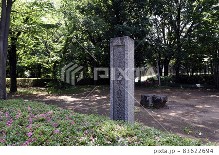 大塚・歳勝土遺跡公園 大塚・歳勝土遺跡公園 83622694