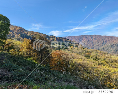 紅葉で色づく木々と青空（新潟県糸魚川市） 83622961
