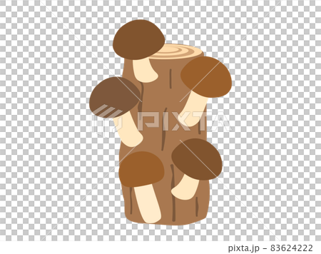 Illustration that imaged the cultivation of log of shiitake mushrooms 83624222