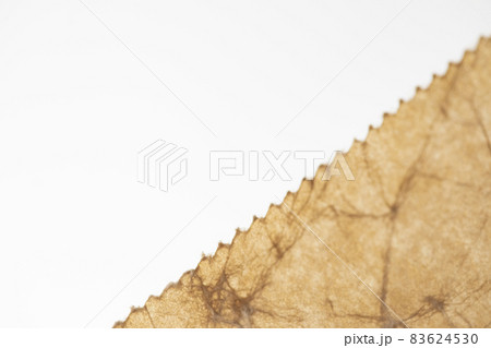 蝋引き紙のクラフト背景素材 蝋引き紙のクラフト背景素材 83624530