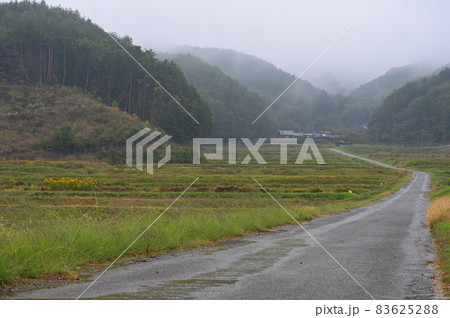 山へ続く棚田の農道《北杜市》 83625288