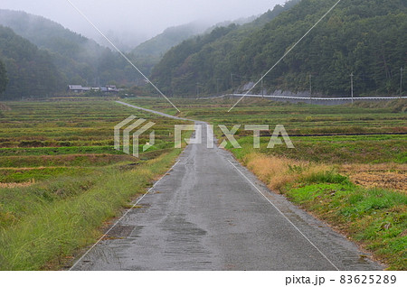 霧が降る棚田の道《北杜市》 83625289