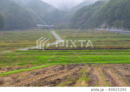 雲ががかる津金の棚田風景《北杜市》 83625291