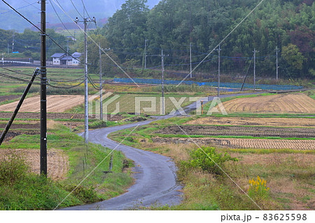 電信柱が並ぶ田舎道《北杜市》 電信柱が並ぶ田舎道《北杜市》 83625598