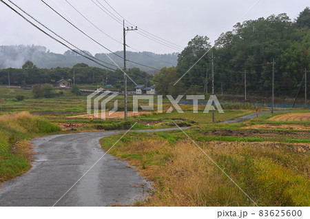 電柱が並ぶ田舎道《北杜市》 83625600