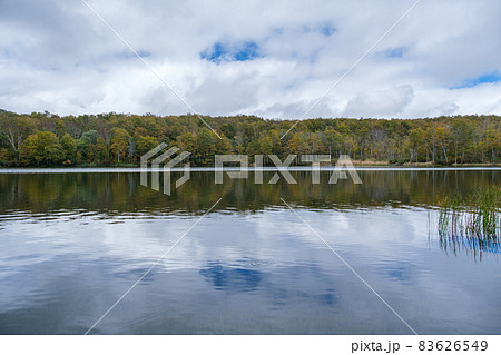 白池の波紋 83626549