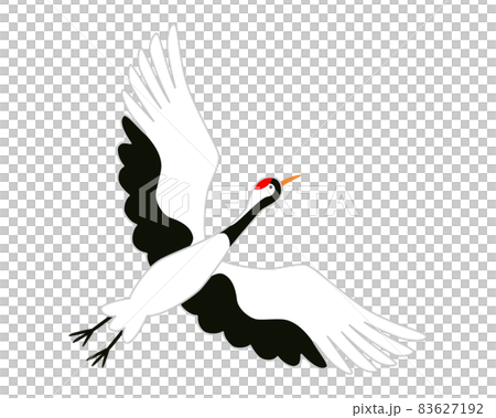 飛んでいる鶴のイラストのイラスト素材