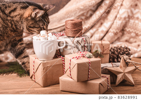 Christmas and New Year decoration with cat 83628991