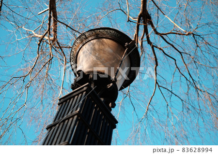 ヨーロッパの街頭 83628994