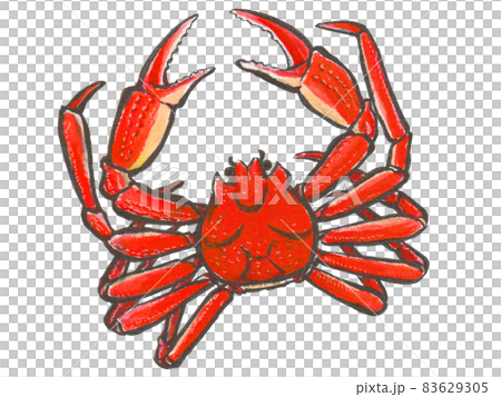 手描き生き物図鑑 蟹のイラスト素材 手描き生き物図鑑 蟹のイラスト素材