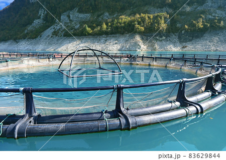 Fish farm floating cages 83629844