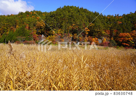 岐阜県高山市上宝町にある石仏と奇岩群の紅葉 岐阜県高山市上宝町にある石仏と奇岩群の紅葉 83630748