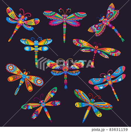 Mexican cartoon bright dragonflies with ethnic floral ornaments. Vector insects on black background with wings and bodies, decorated by colorful flowers and geometric motif, Mexico festive Mexican cartoon bright dragonflies with ethnic floral ornaments. Vector insects on black background with wings and bodies, decorated by colorful flowers and geometric motif, Mexico festive 83631159