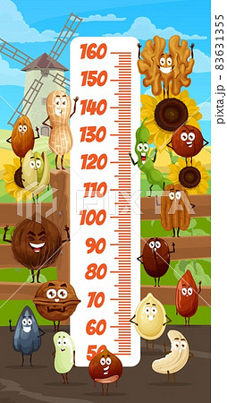 Kids height chart, cartoon nuts and beans on farm, vector growth meter. Kids tall measure chart or baby size ruler with nuts characters, walnut, peanut and smiling cashew with pistachio on sunflower Kids height chart, cartoon nuts and beans on farm, vector growth meter. Kids tall measure chart or baby size ruler with nuts characters, walnut, peanut and smiling cashew with pistachio on sunflower 83631355