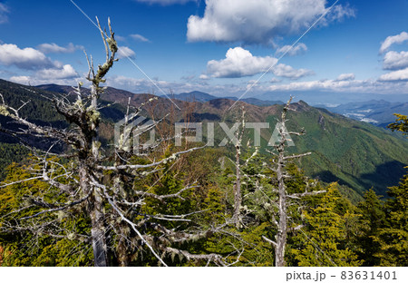 奥秩父・十文字峠付近から見る八ヶ岳・川上村方面の眺め 83631401