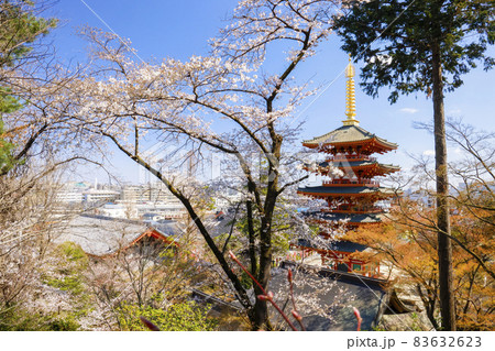 【東京都】日野市高幡不動尊の五重の塔と桜 【東京都】日野市高幡不動尊の五重の塔と桜 83632623