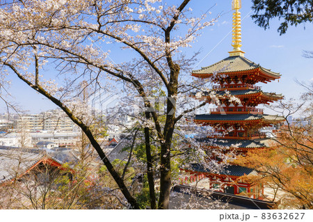 【東京都】日野市高幡不動尊の五重の塔と桜 【東京都】日野市高幡不動尊の五重の塔と桜 83632627